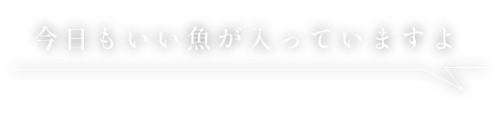 今日もいい魚が入っていますよ