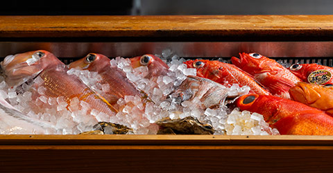 おまかせコース